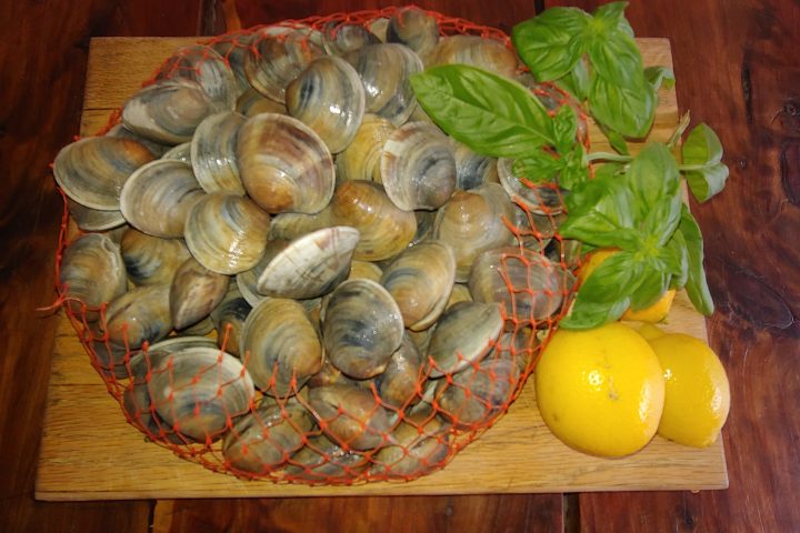 clams and lemons cedar key